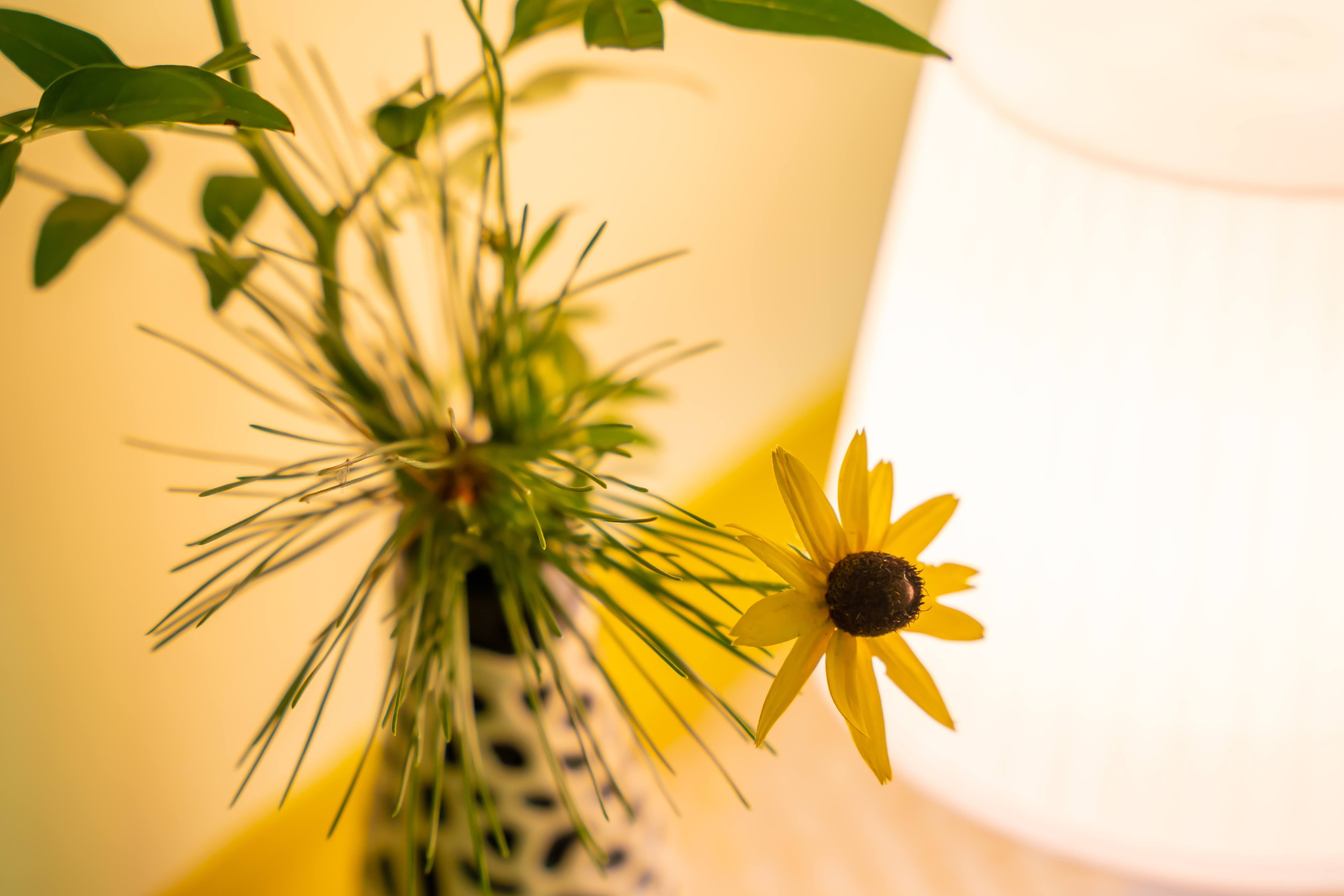 자기치유의 본질: 마음과 몸을 다시 연결하는 법