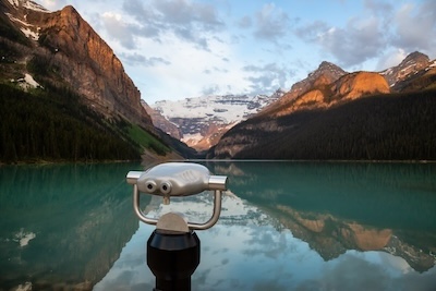 화의 과학: 1시간의 분노가 쥐 80마리를 죽이는 이유